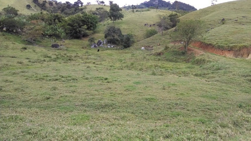 Imagem 5 de 11 de Sitio Para Venda Em São Bento Do Sapucaí - St-744