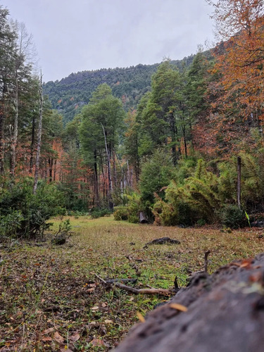 Vende Dueño Exclusiva Parcela De 8.425m Rinconada De Pucon