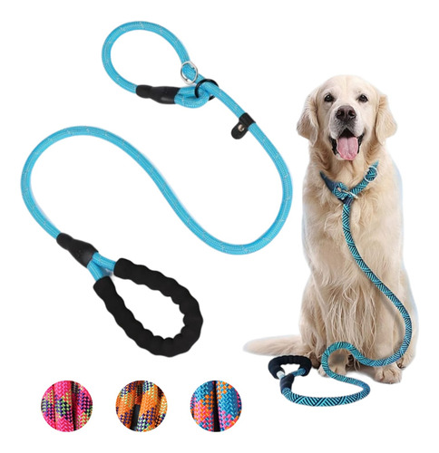  Slip On Leash Correa Y Collar Para Perro Multicolor 180 Cm