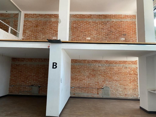 Imagen 5 de 21 de Renta De Edificio En Roma Norte