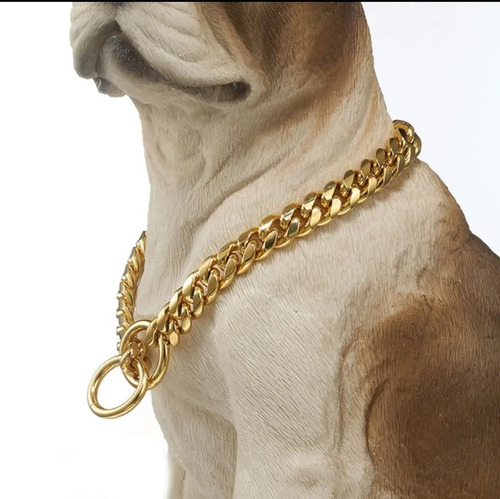 Collar Ahorcador De Adriestramiento Canino Dorado Color Oro