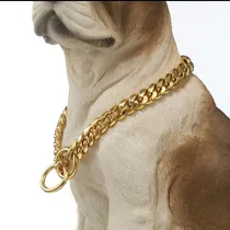 Comprar Collar Ahorcador Adiestramiento Canino Dorado Oro Perro A1