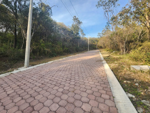 Venta Lote Gladiola 37 Con Vistas Panorámicas, Proyecto Incluído Y Todos Los Servicios Cerca De Las Amenidades De Fracc Rancho San Diego Ixtapan De La Sal Edomex