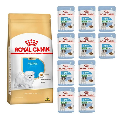 Kit Ração Maltês Puppy 1kg E 10 Sachês Mini 85g Royal Canin