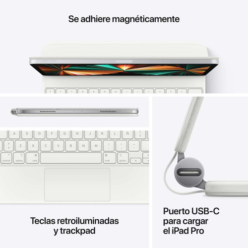 Imagen 5 de 6 de Apple Magic Keyboard Pro 11 Pulgadas