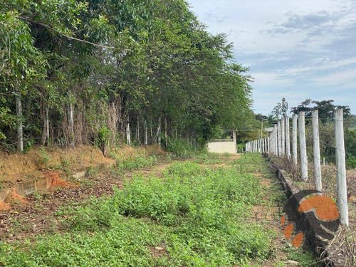 Imagem 7 de 8 de Chácara À Venda, 10000 M² Em Guarapari - Es. - Ch0014