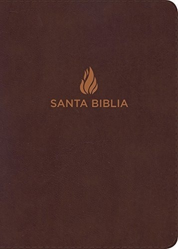 Nvi Biblia Letra Gigante Marron, Piel Fabricacion Con Indice