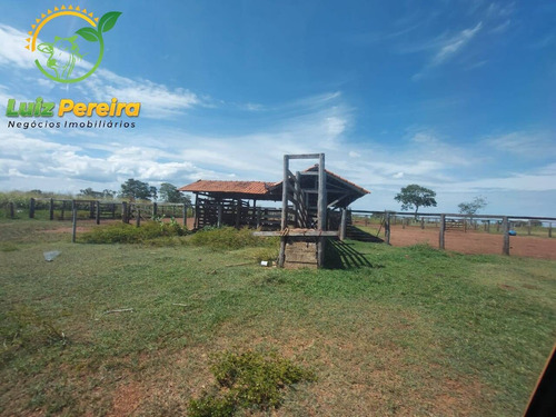 Imagem 15 de 15 de Fazenda À Venda Em Vale Do Araguaia - T0 - 20% De Reserva (dupla Aptidão) - 1738
