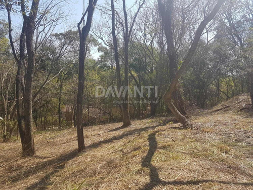 Imagem 2 de 9 de Terreno À Venda Em Joaquim Egídio - Te116312