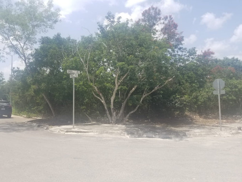 Imagen 6 de 15 de Venta De Lote En Residencial Del Mayab Temozon Norte