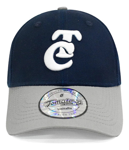 Gorra Snap All Style Blue Silver Tc 24 