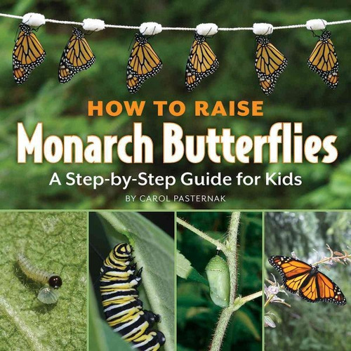 Cómo Criar Mariposas Monarca