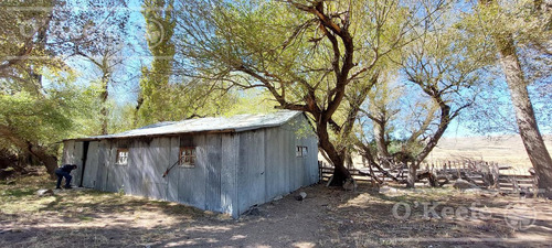 Imagen 25 de 30 de Campo En Venta De 14.000 Has En Neuquen Patagonia Argentina - Estancia Ganadera