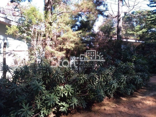 Imagem 10 de 14 de Chácara À Venda Em Chacaras Sao Bento - Ch087235