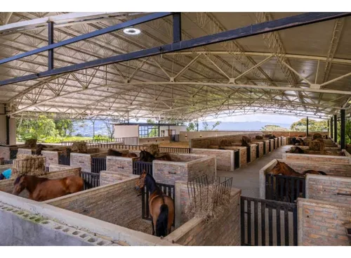 Finca Cria De Caballos X Venta En El Canadá El Carmen De Viboral