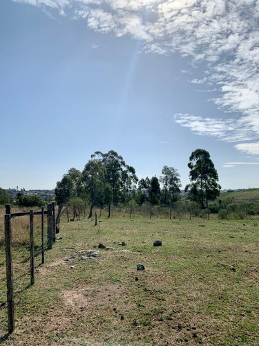 En Venta Chacra En Salto. Ruta 3 ¡atención Inversores Y Empresarios!