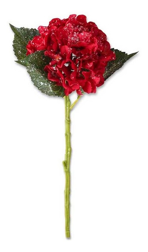 Hortensia Rojo Helada - Spineto