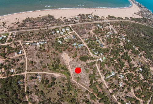 Terrenos O Lotes Venta José Ignacio