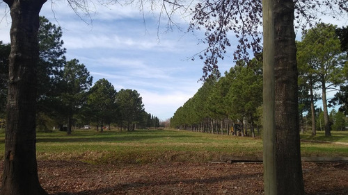 Imagen 12 de 18 de Terreno - Nueva Zelaya