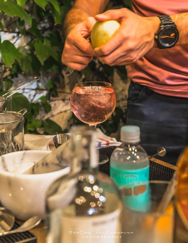 Imagen 6 de 8 de Set 6 Botanicos + Frutas Deshidratada Gin Tonic + Bosque Gin