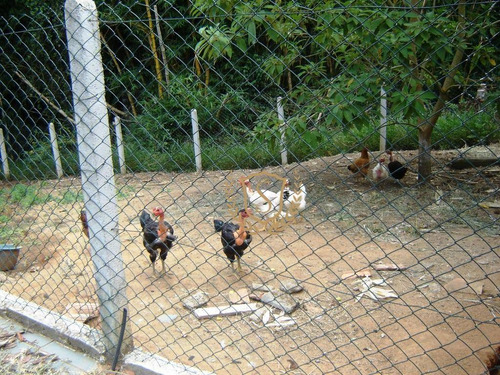 Fazenda À Venda, 968000 M² Por R$ 1.900.000,00 - Posse - Teresópolis/rj - Fa0004