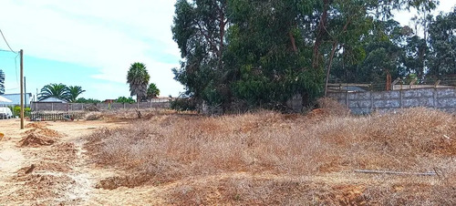 Terreno Construccion En Venta En La Serena