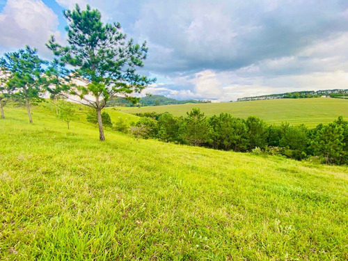 Imagem 2 de 10 de M48- Venha Para Tranquilidade Do Interior!!