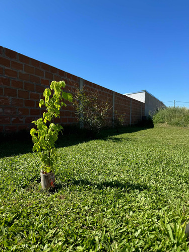 Lote En Venta En Lima-zárate