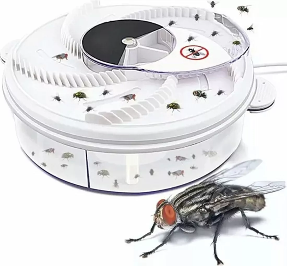 Primera imagen para búsqueda de plato atrapa moscas