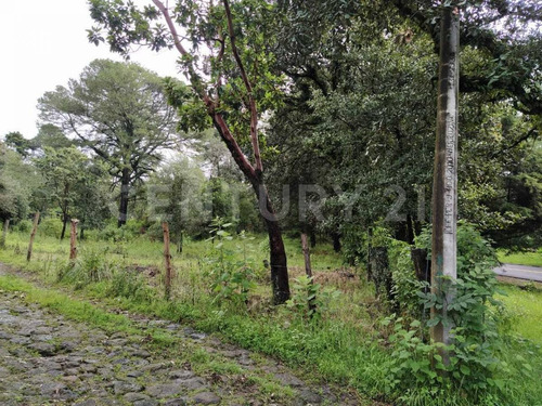Imagen 6 de 10 de Terreno En Venta Escriturado En Huitzilac Morelos
