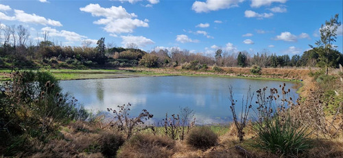 Venta Chacra 28 Ha Abayuba Arroyo Y 2 Tajamares C.rigel