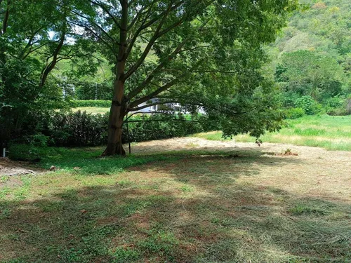 Lote En Venta En Paraje El Espinal. Cod V14863