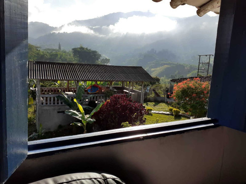 Imagen 12 de 30 de Venta De Finca En Pereira Vereda Combia .