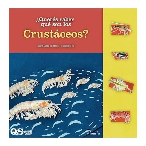 ¿querés Saber Qué Son Los Crustáceos? Nuevo!