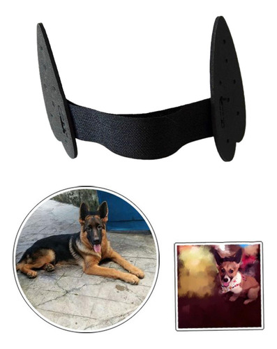 2 Soporte Duradero Para Orejas De Perro, Pegatinas Para