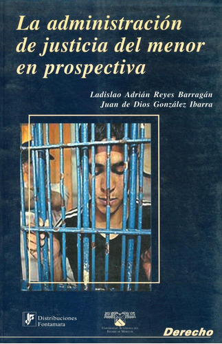 Libro La Administración De Justicia Del Menor En Prospectiva