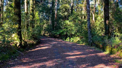 Subdivisión De Parcelas De 5.000m² A 25 Min De Puerto Varas