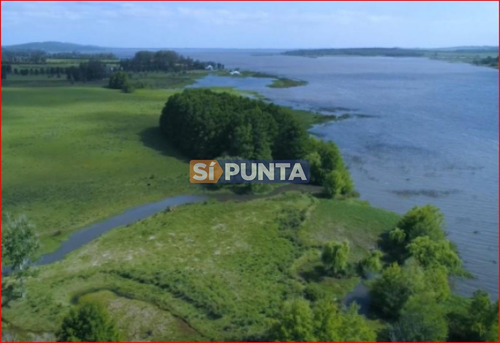 Imagen 7 de 7 de Chacra En Venta