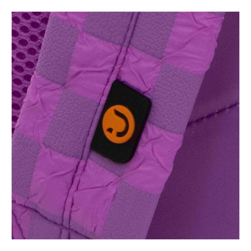 Ruz-backpack Mochila Tween Juvenil Femenino Ruz Truzt Color Lila