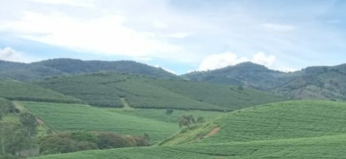 Fazenda A Venda No Sul De Minas Com 470 Ha - Bcp93