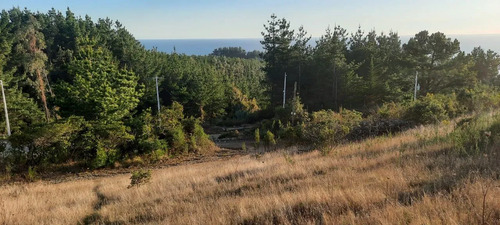 Parcela 3000 M2 En Venta Cobquecura