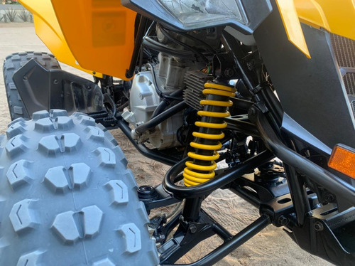 Can-am Ds 250