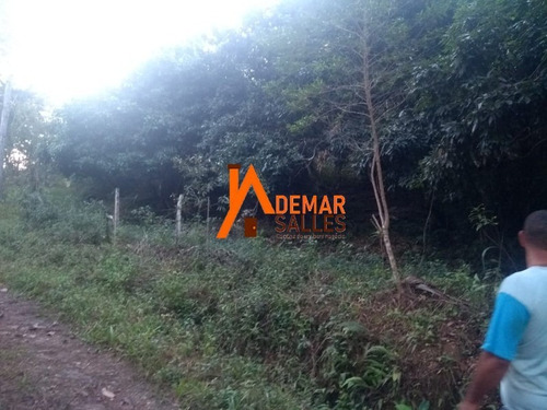 Imagem 8 de 23 de Chacara - Ch00064 - 68105344