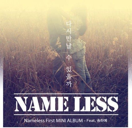 Cd Will I Be Seeing U - Nameless