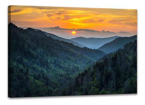 Decoración De Pared Forest Sunrise, Great Smoky Mountains, F