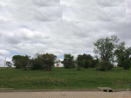Imagem 2 de 3 de Terreno À Venda, 276 M² Por R$ 278.800,00 - Villa Lucchesi - Gravataí/rs - Te2007