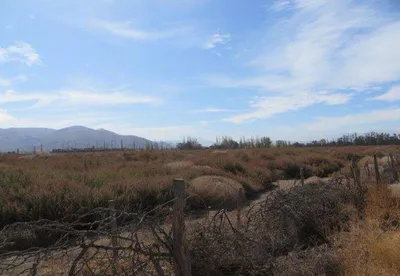 Terreno en venta