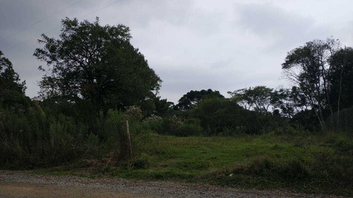 Chácara Com 2.295 M² - Vila Fuck - Piraquara