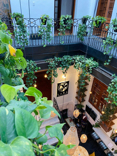 Imagen 2 de 24 de Local Comercial En Sótano En Hermosa Casona Antigua