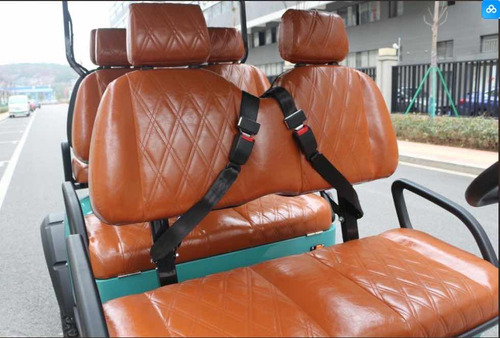 Único Carrito De Golf Súper Equipado